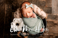 Ellie | Newborn