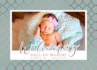 Newborn | Willa