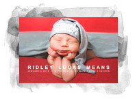 Newborn | Ridley