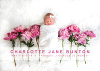 Newborn | Charlotte