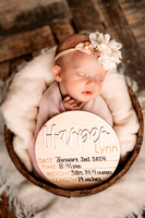 Harper | Newborn