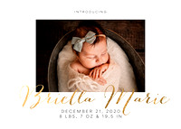 Newborn | Briella