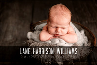 Newborn | Lane