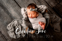 Newborn | Caroline